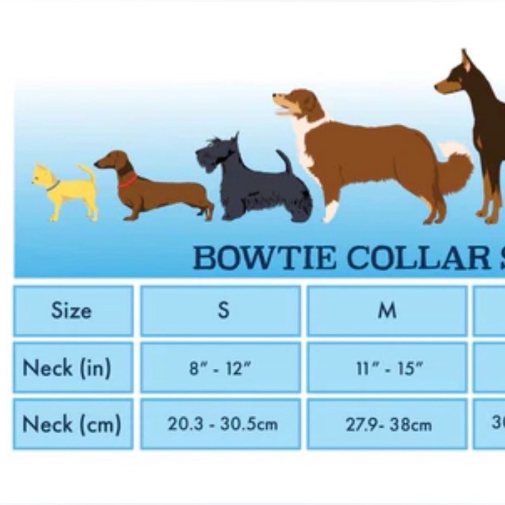 Pineapple Print Pack leash collar and harness combo - Picture 6 of 10